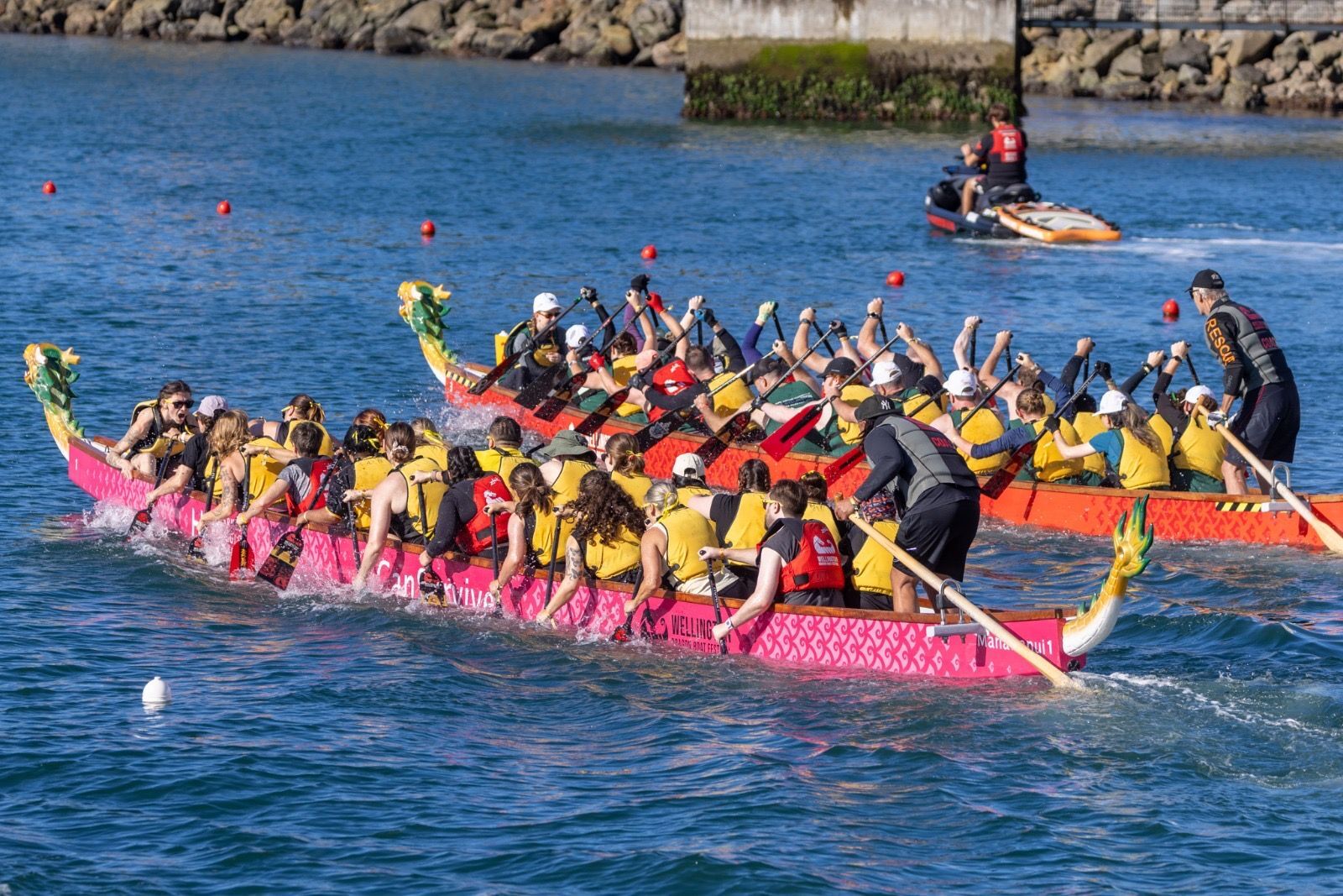 Two dragon boats, one pink and one orange, racing side by side with crews paddling in unison
