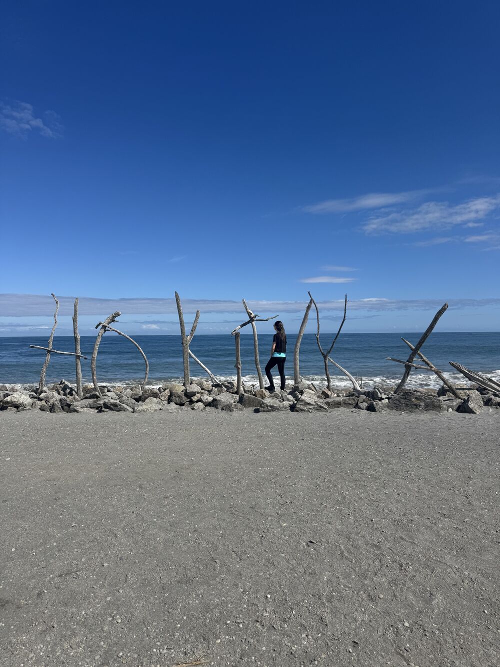 Mahnaz standing among driftwood sculptures on a pebbly beach, with the sea behind